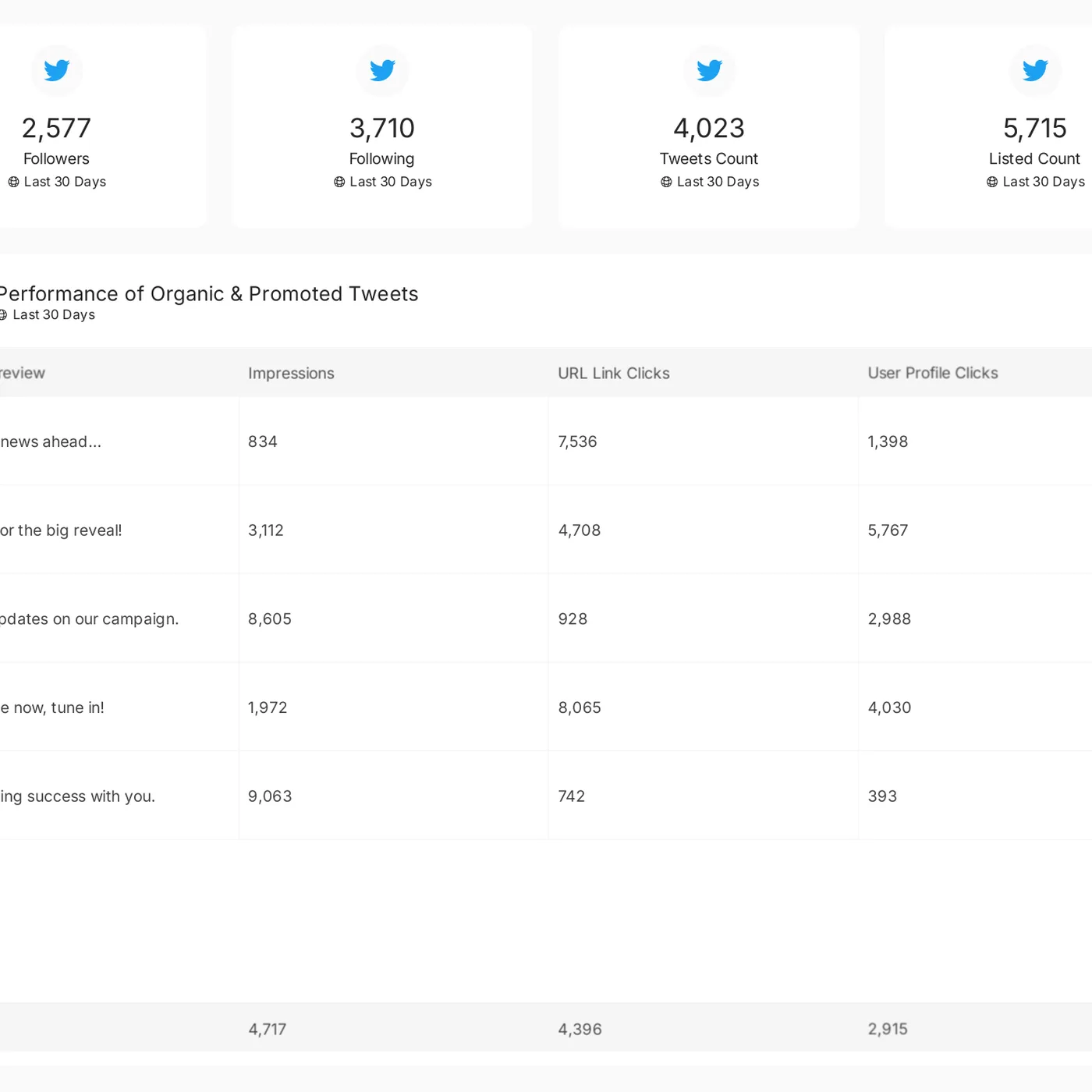 X (Twitter) reporting template preview