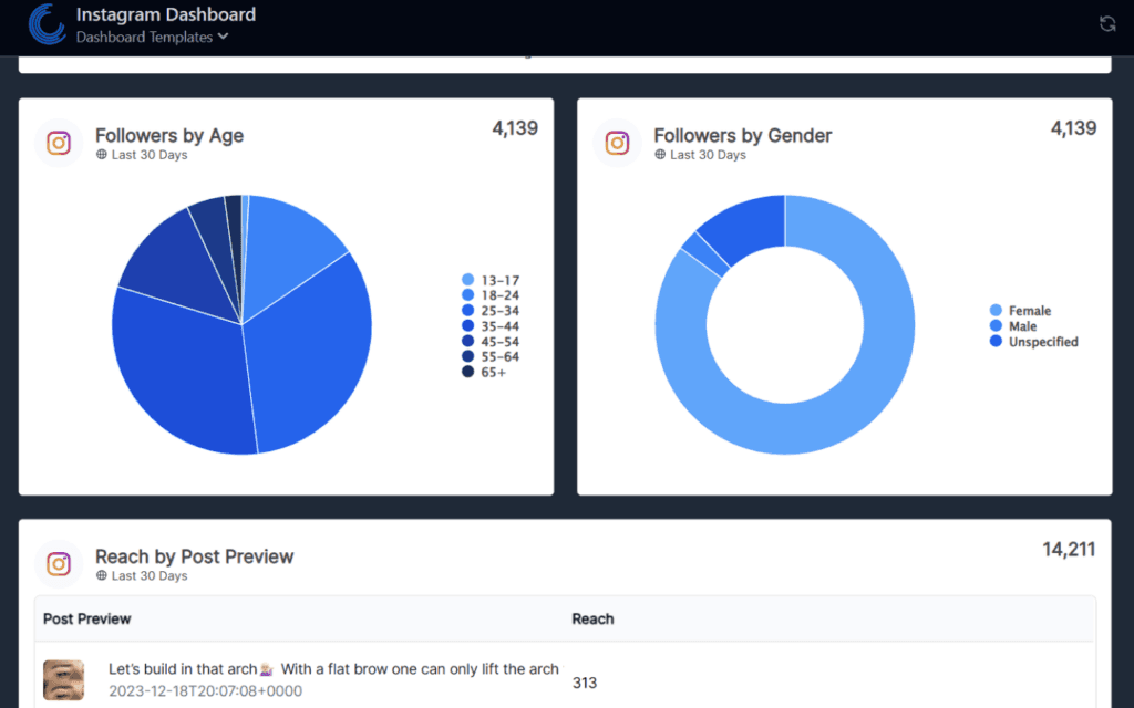 "Instagram Insights dashboard showing follower demographics by age and gender and post reach, critical for evaluating an Instagram Insights Report."