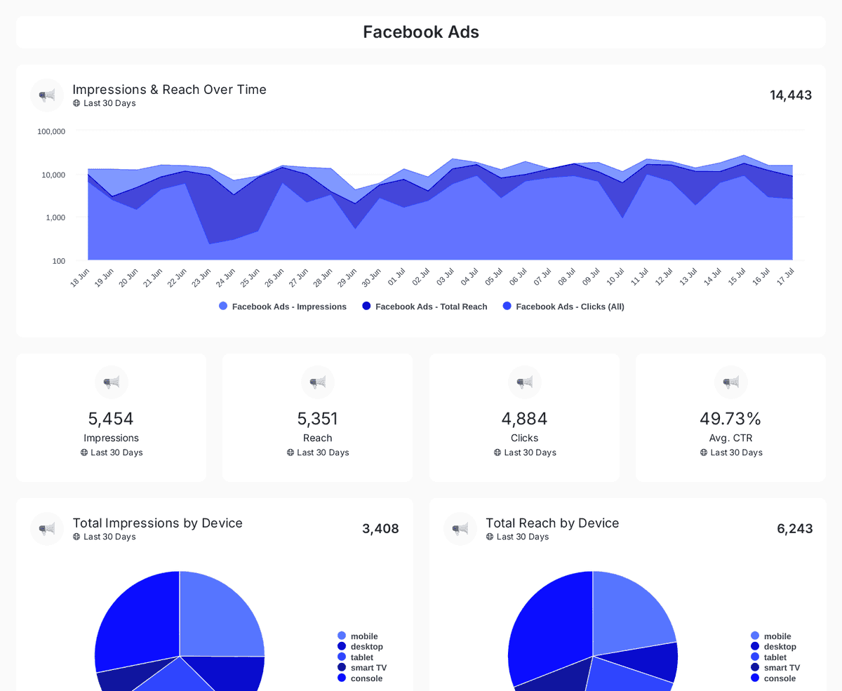 social-media-ads reporting template preview
