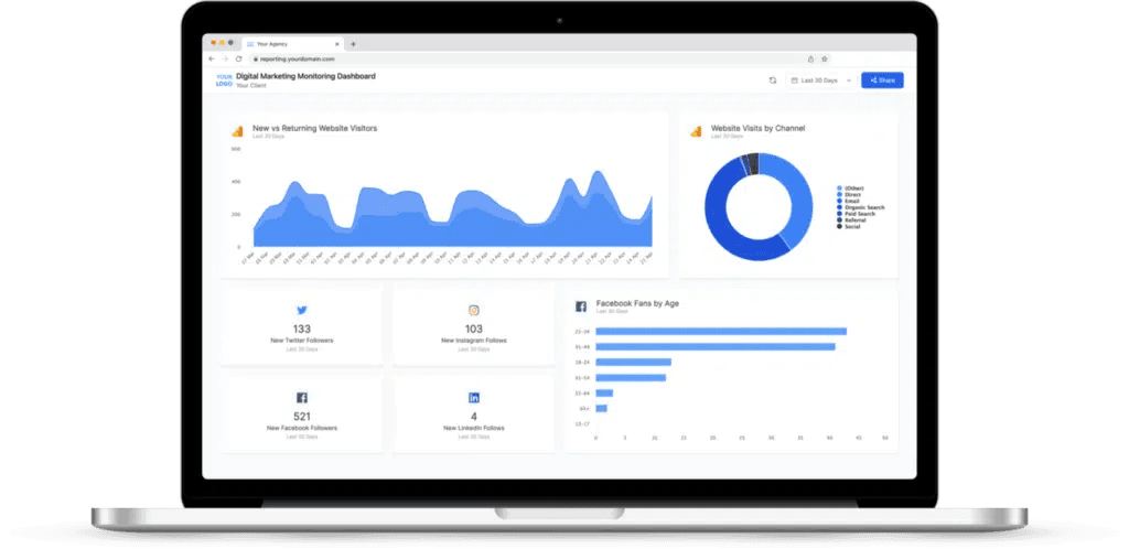 In-Depth Analytics Dashboard of Marketing Management Tools