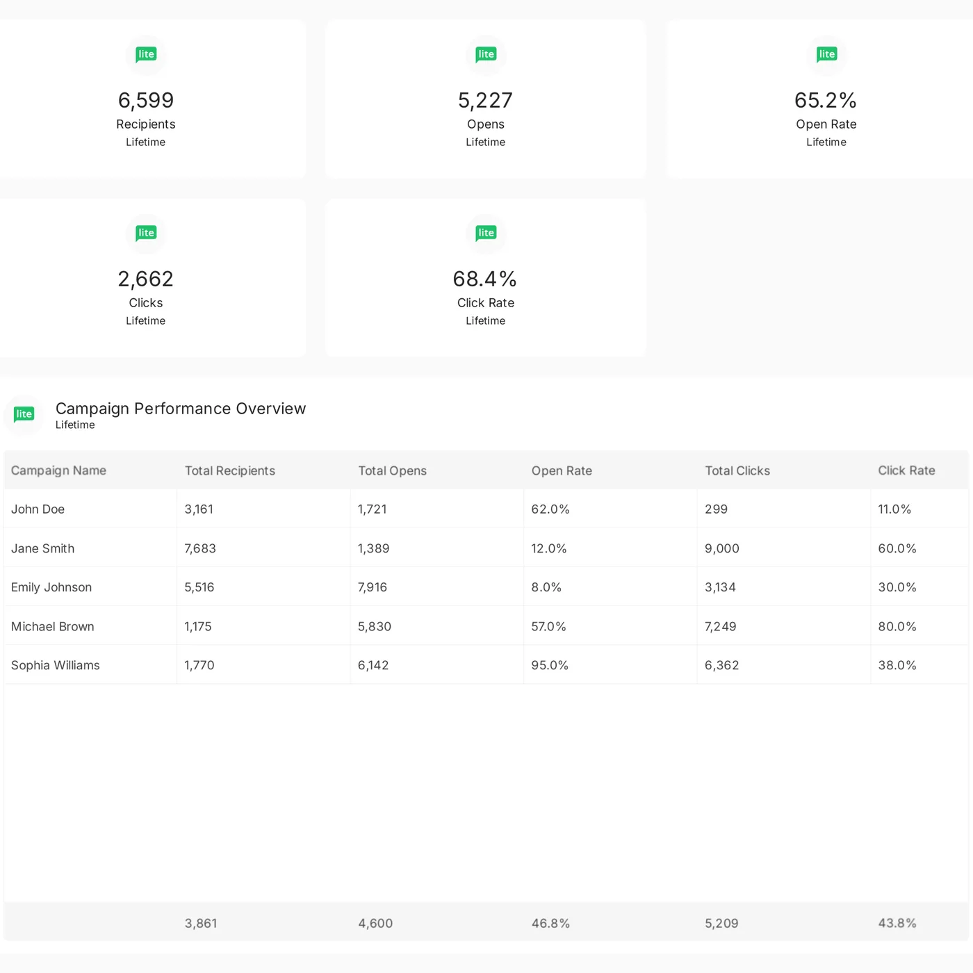 MailerLite reporting template preview