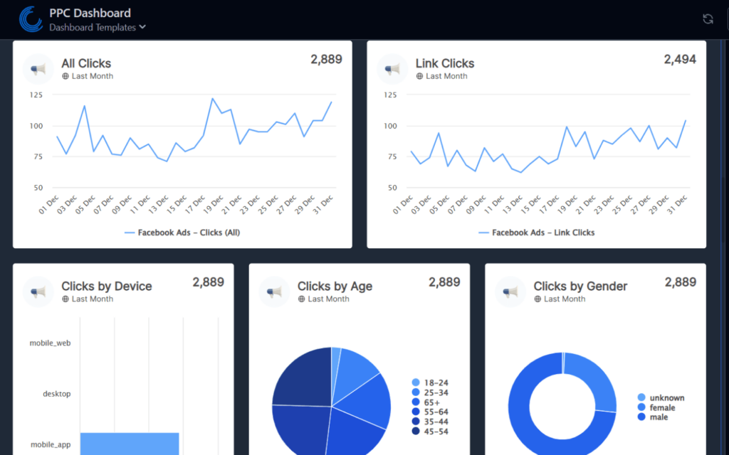 PPC Dashboard with Facebook Ads analytics showing 'Digital Marketing Reporting Explained' through various performance metrics like clicks and user demographics.