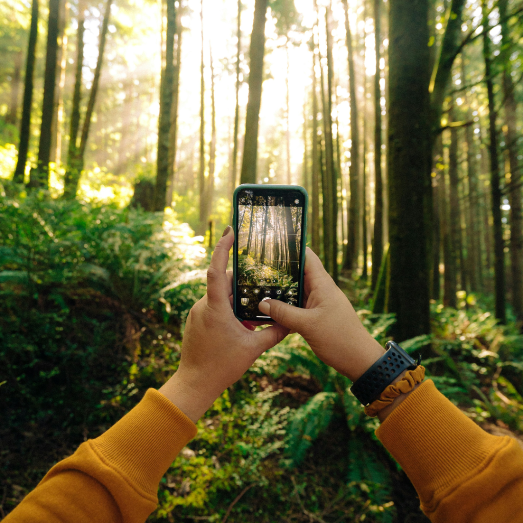 Digital marketing creativity in action with a smartphone capturing the serene beauty of a sunlit forest, illustrating the blend of technology and natural inspiration in marketing content.