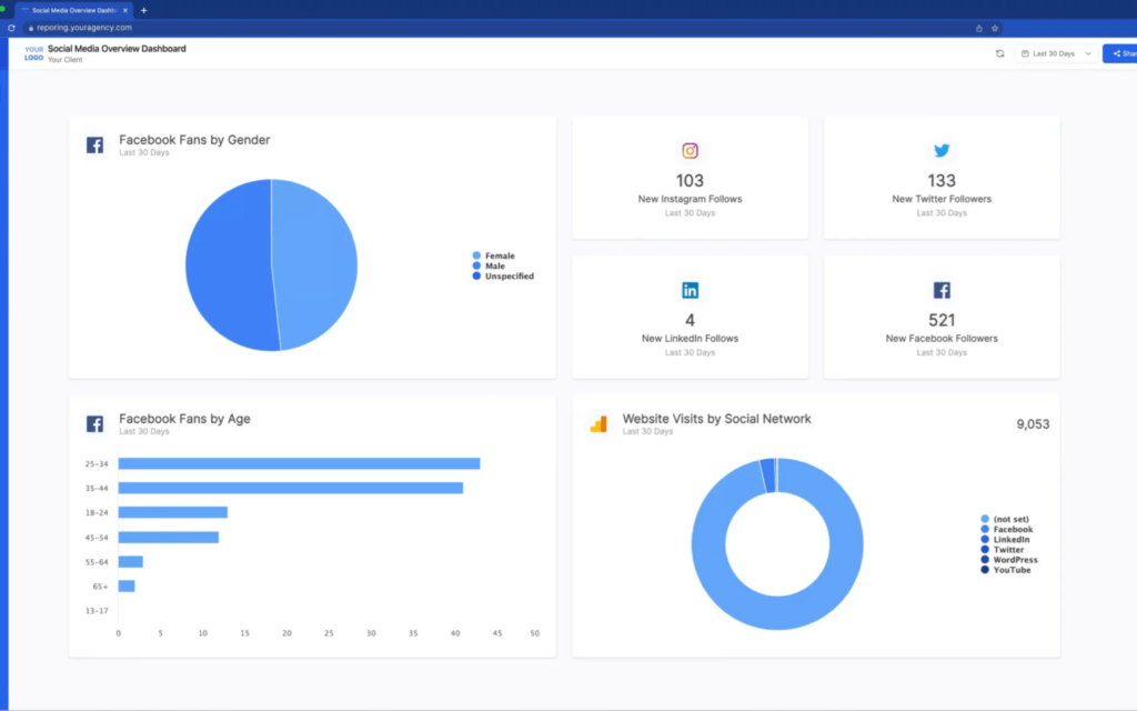 Boost Your Website'S Performance: The Ultimate Website Optimization Report Guide 1 Screenshot of a social media analytics dashboard displaying a website optimization report with graphs for facebook fan demographics, new social media followers, and a pie chart of website visits by network.